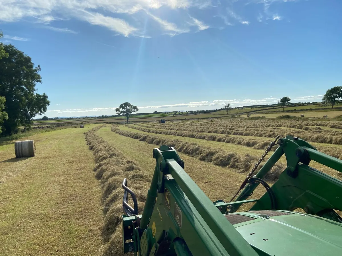 July Hay Top Quality Large Bales - Image 2