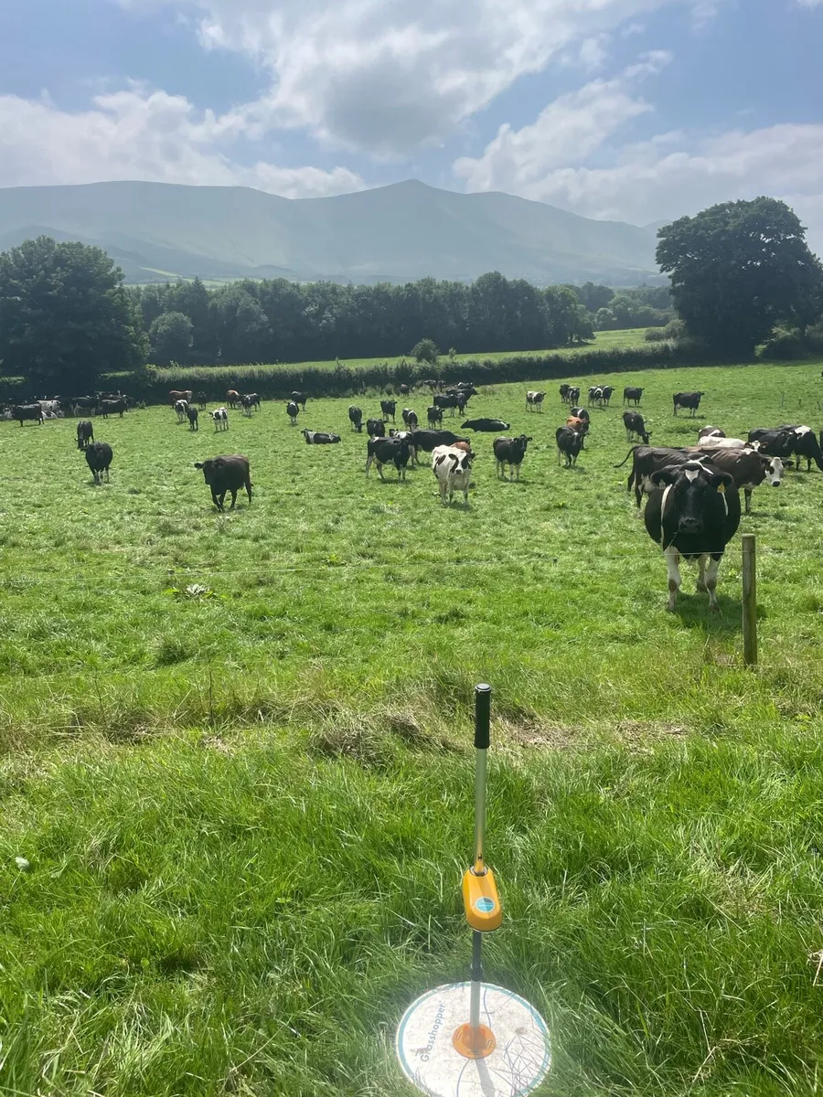 💥Derogation Farmers last chance💥 - Image 1