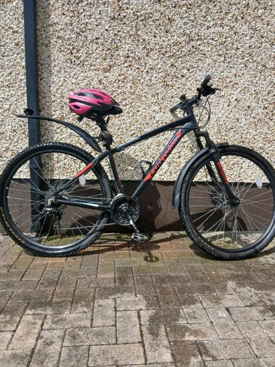 bike - Image 2