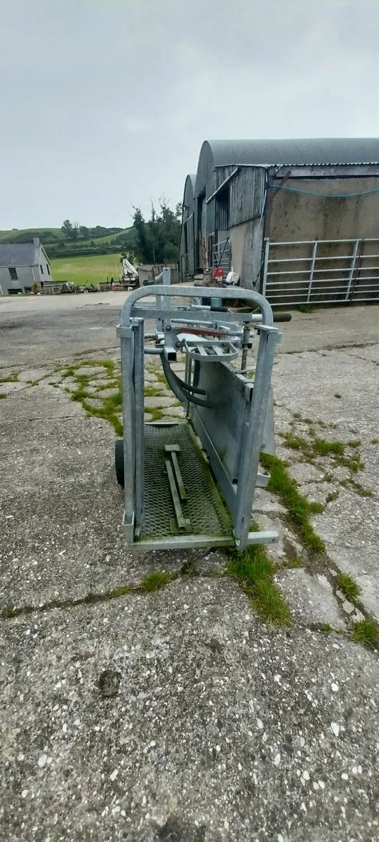 Richie sheep turnover crate - Image 1