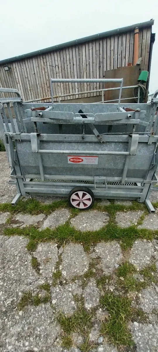 Richie sheep turnover crate - Image 4