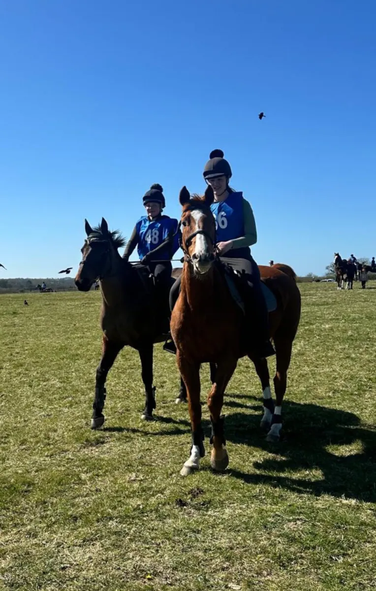 Riding club/all rounder - Image 4