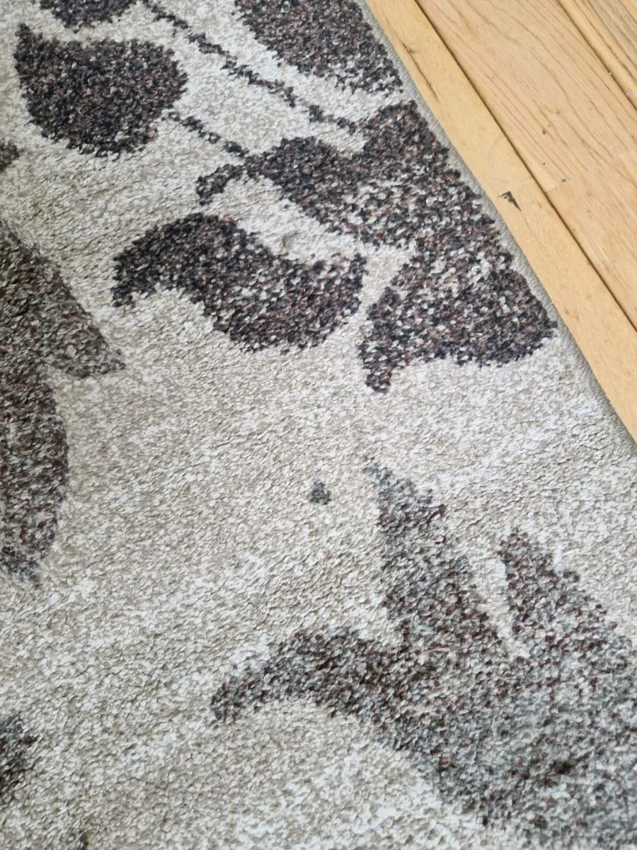 Rug - Image 2
