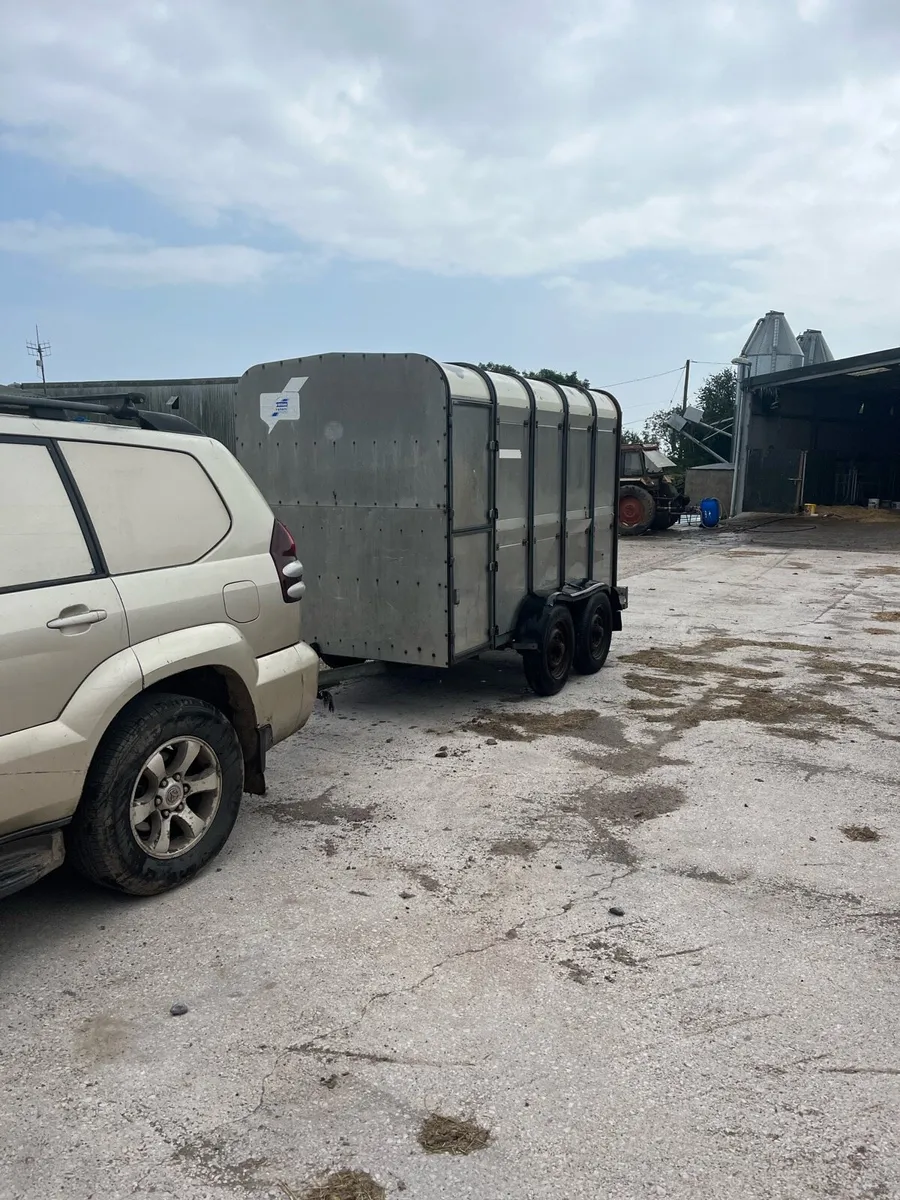 Cattle box - Image 3