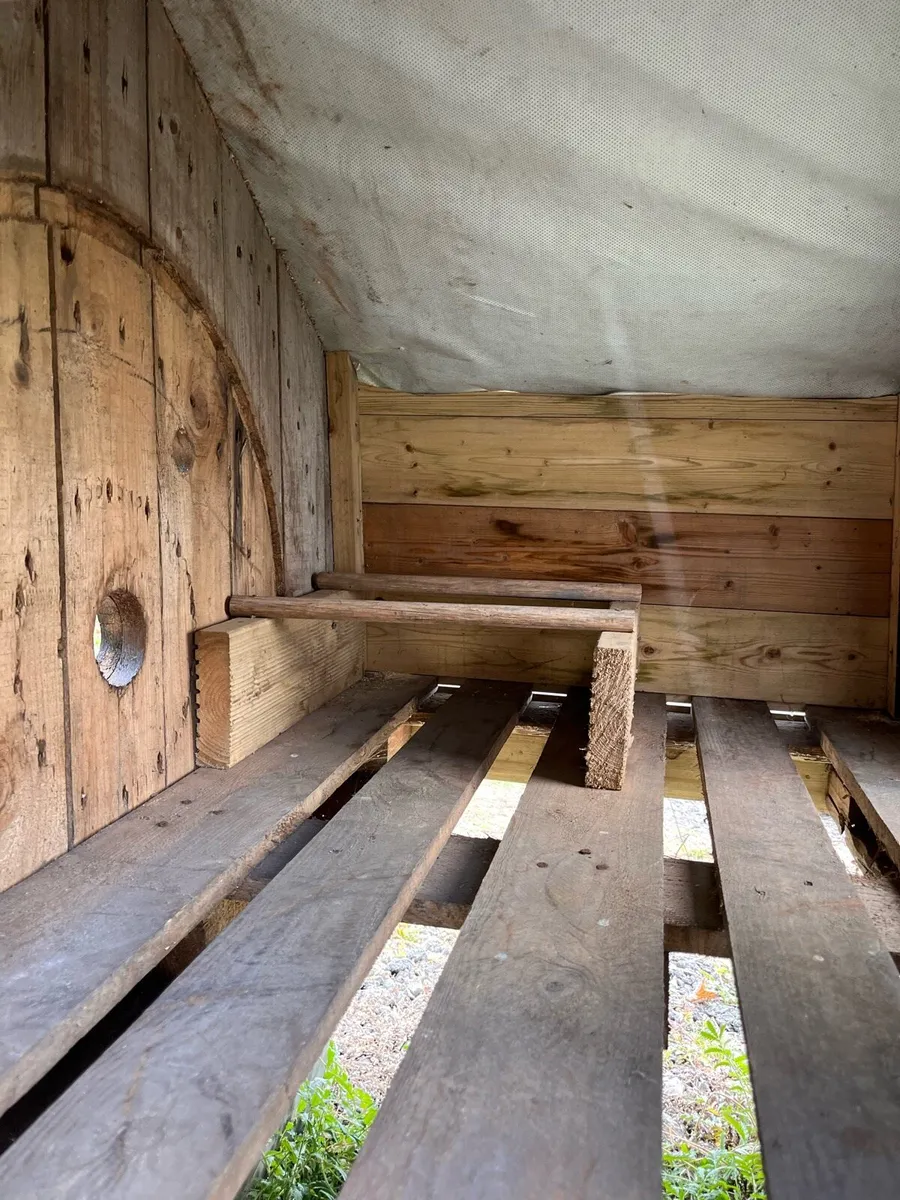 Hen House - Image 3