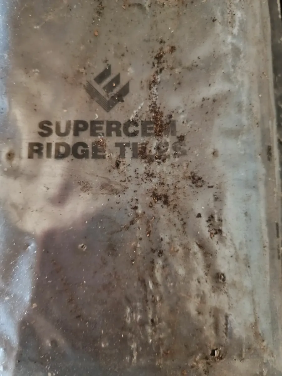 Ridge slates - Image 1
