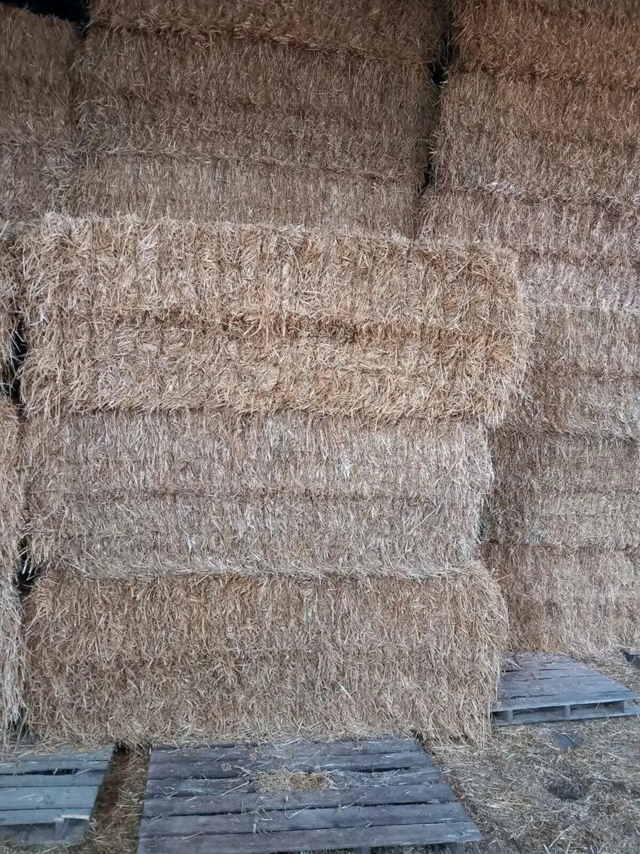 Barley & oaten straw - Image 1