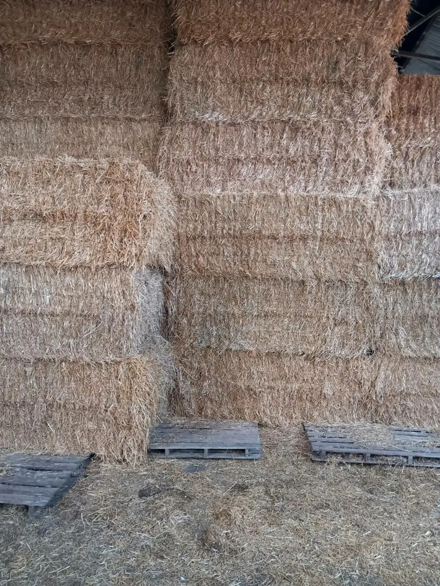Barley & oaten straw - Image 2