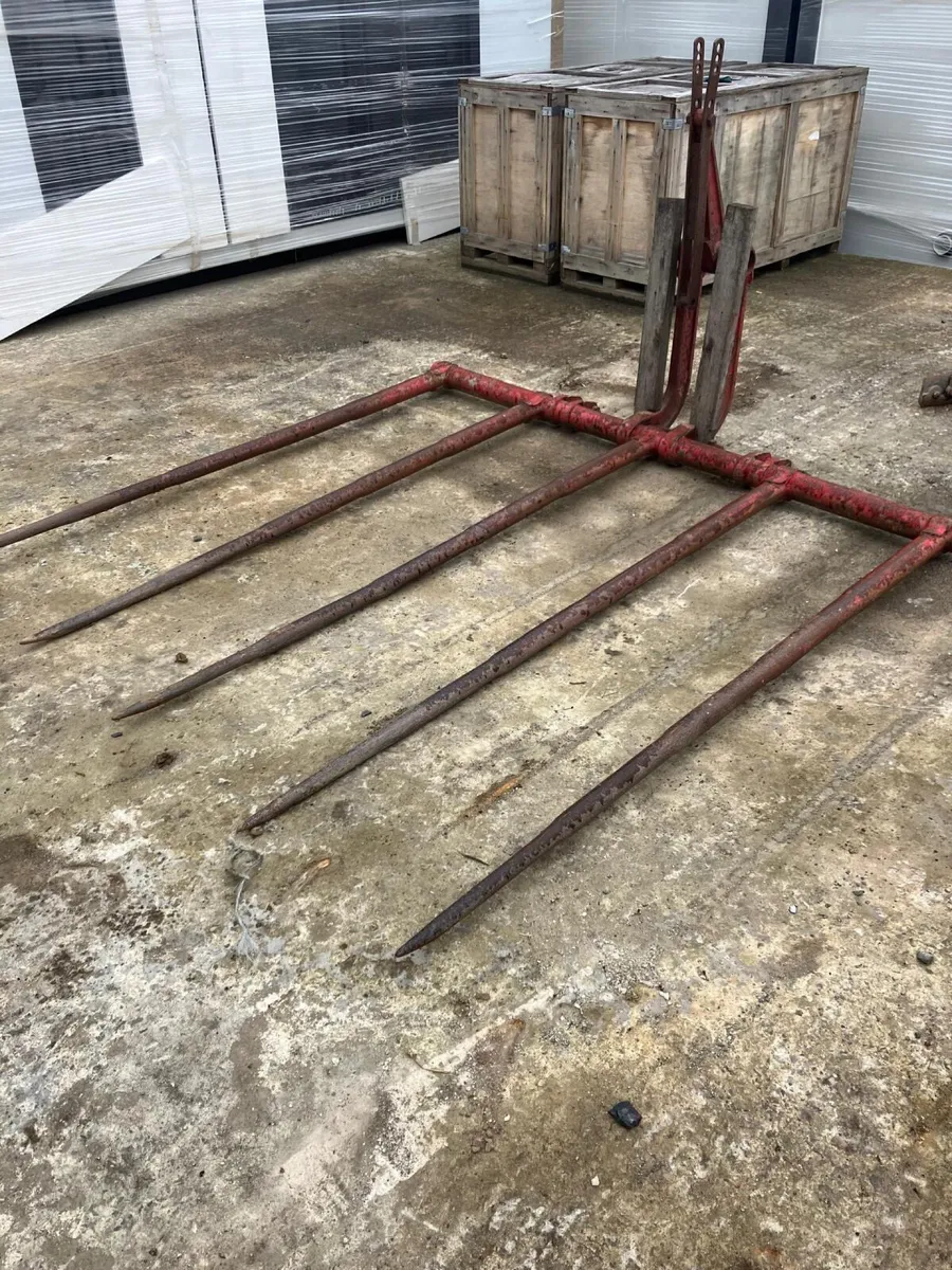 Buck Rake **Online Auction** - Image 1