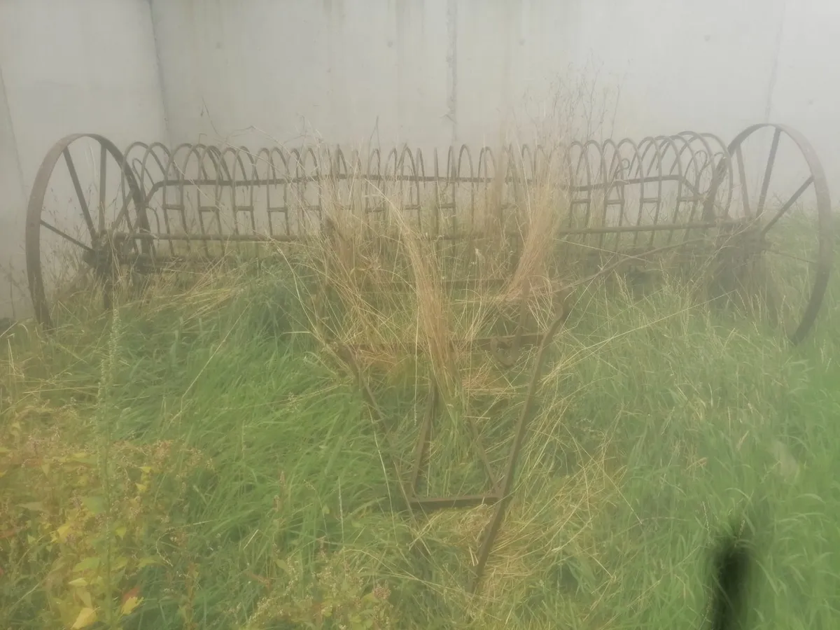 Hay rake - Image 1