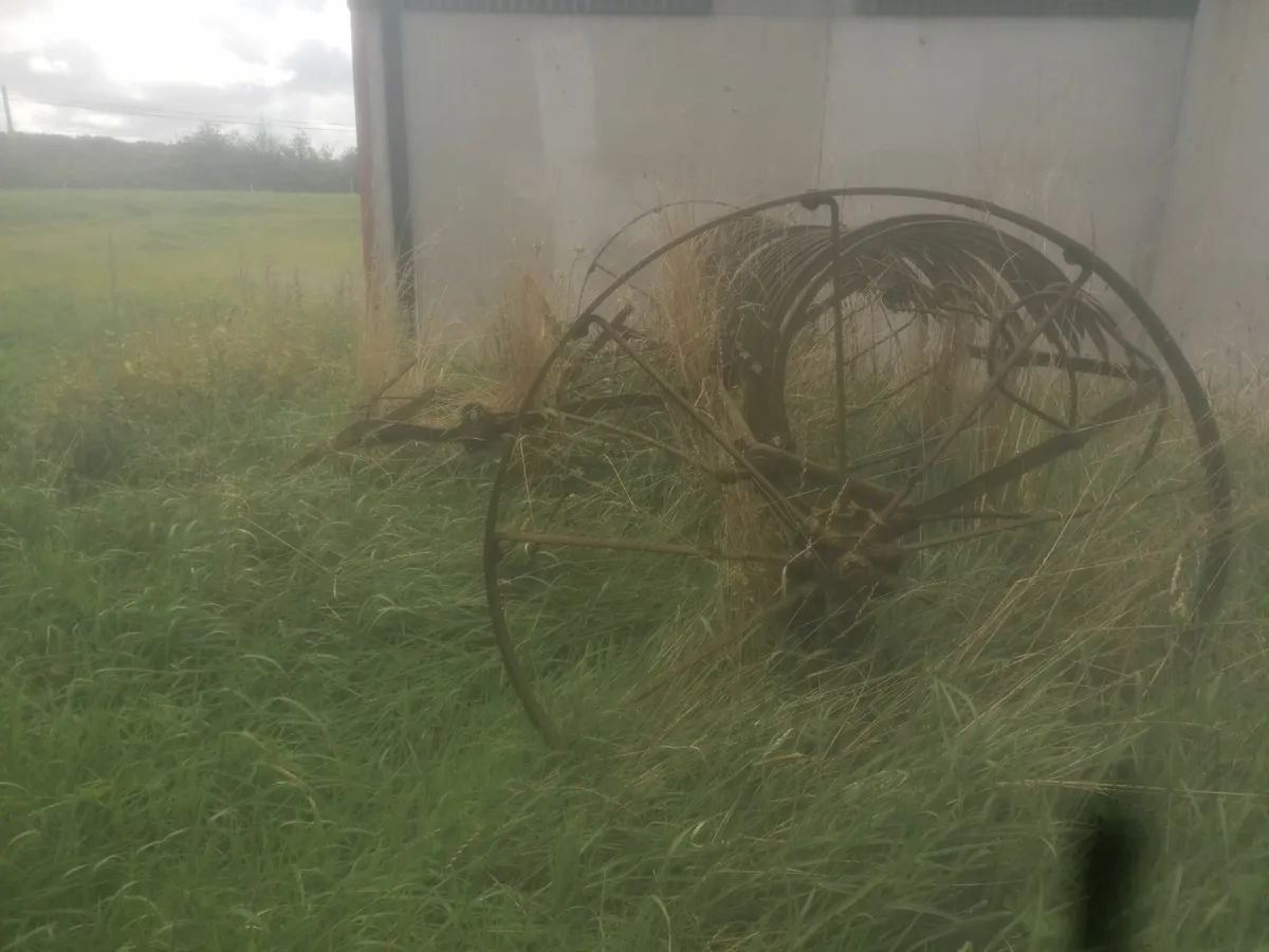 Hay rake - Image 3