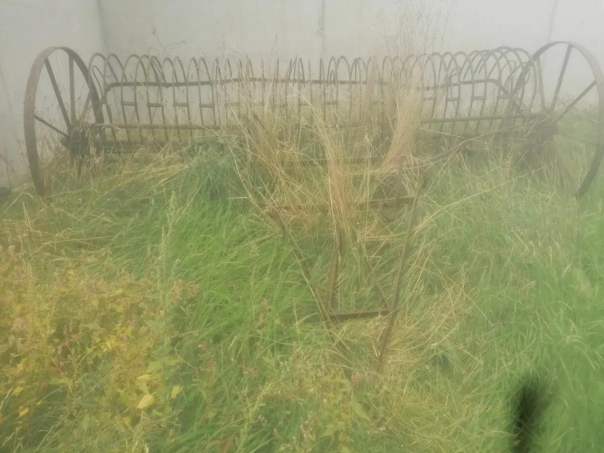 Hay rake - Image 4