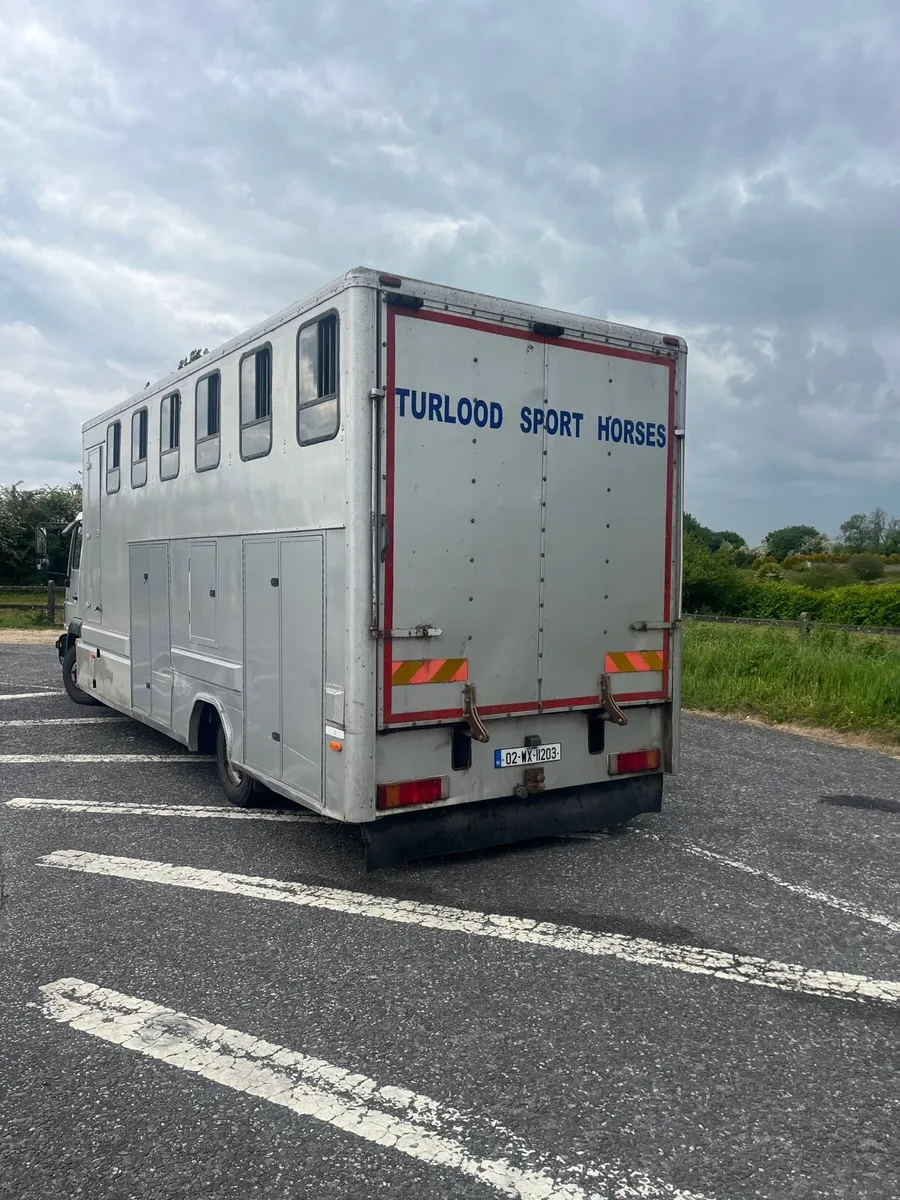 Man horse truck - Image 2