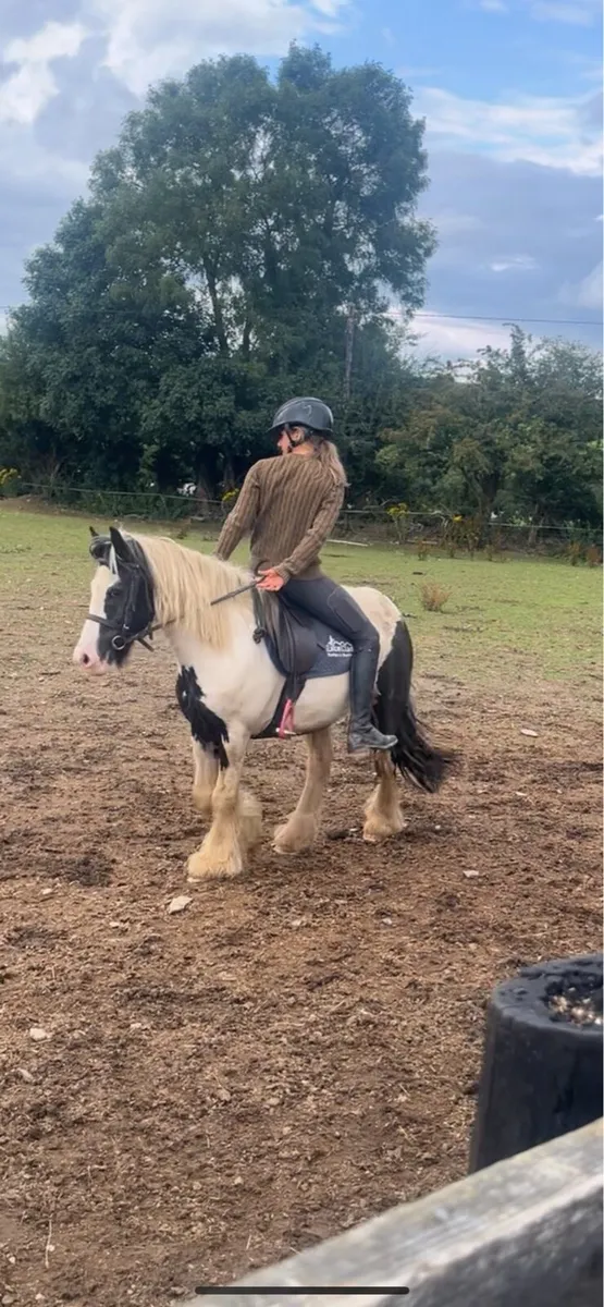 12:2 kids pony - Image 1