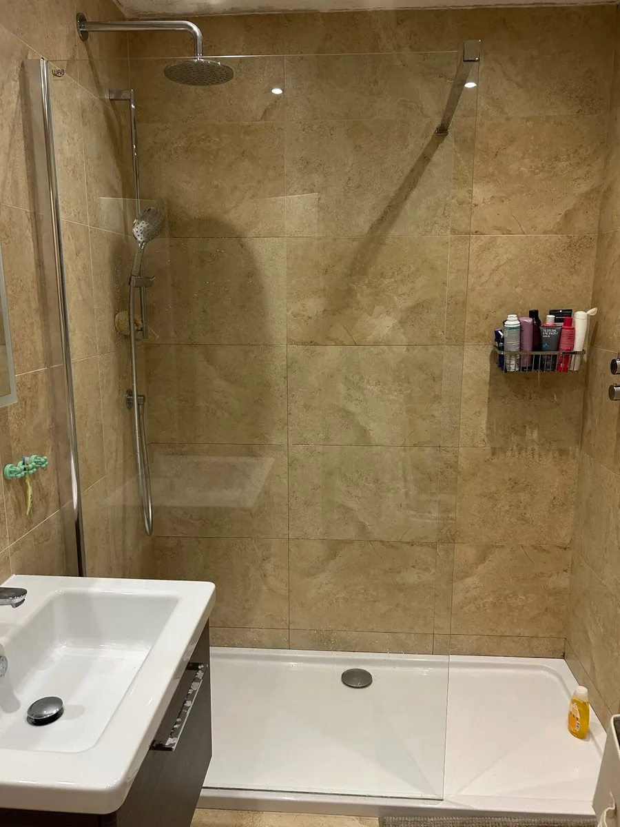 Shower screen