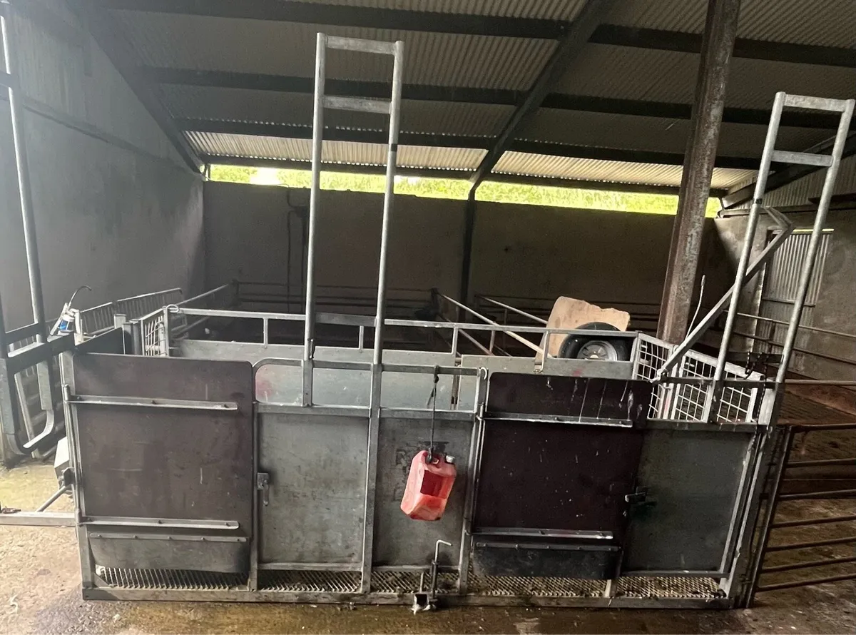 Shearing Trailer - Image 2
