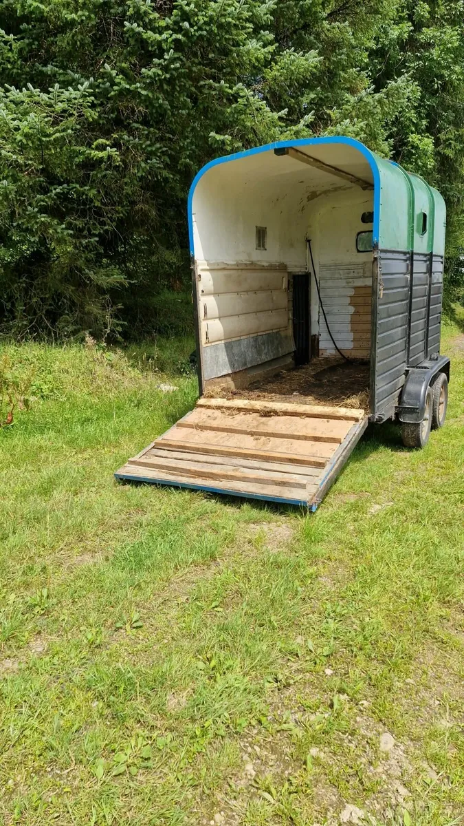 Horse box - Image 4