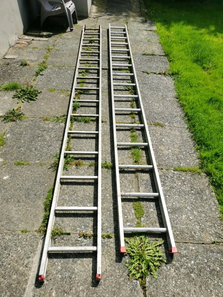 Double aluminium ladder for sale - Image 1