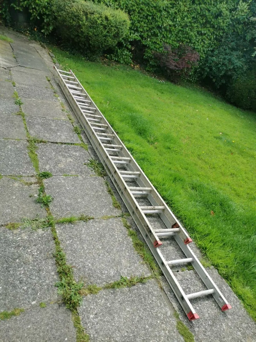 Double aluminium ladder for sale - Image 3