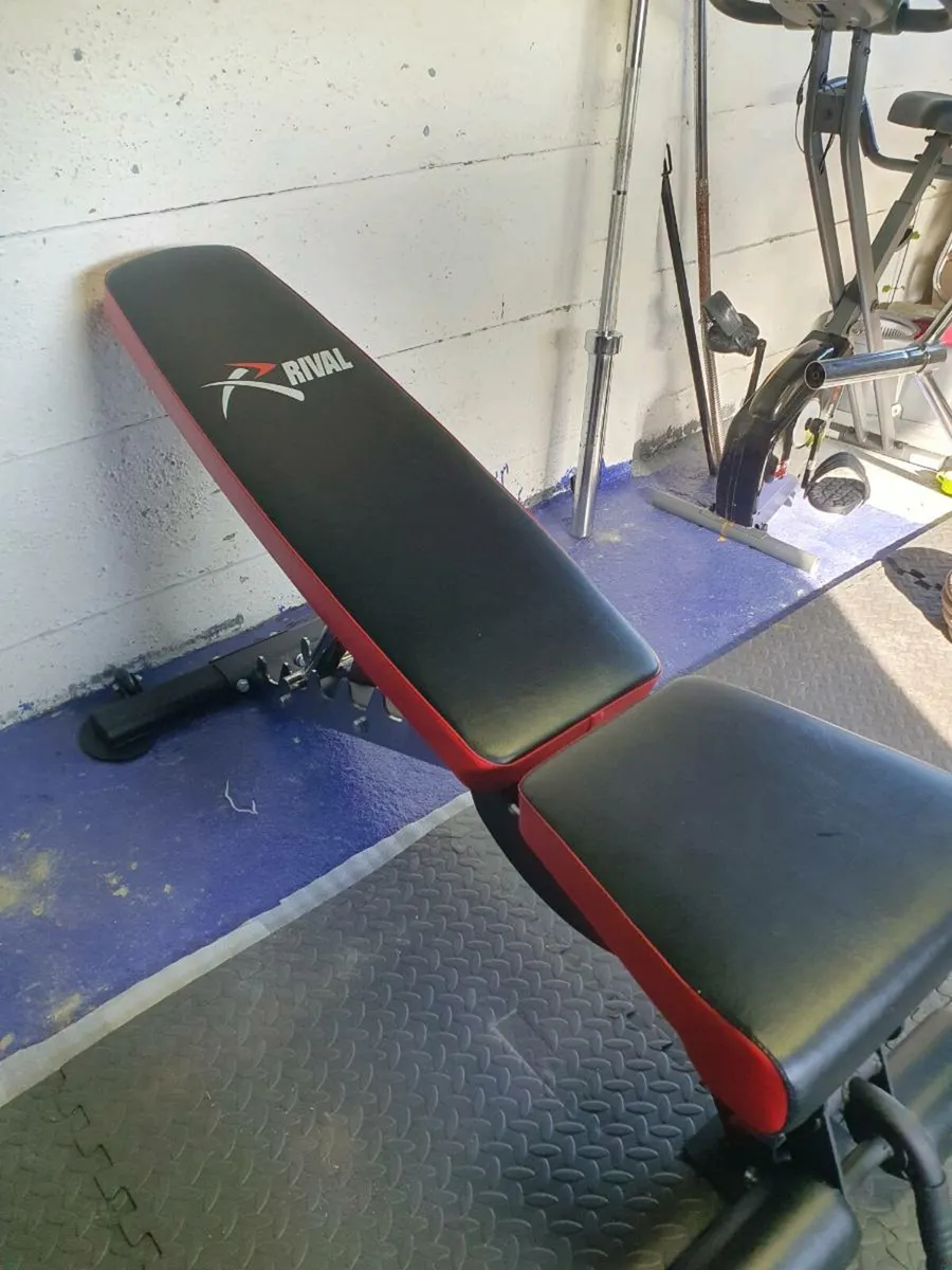Rival B2 Adjustable Weight Bench – Incline, Declin - Image 2