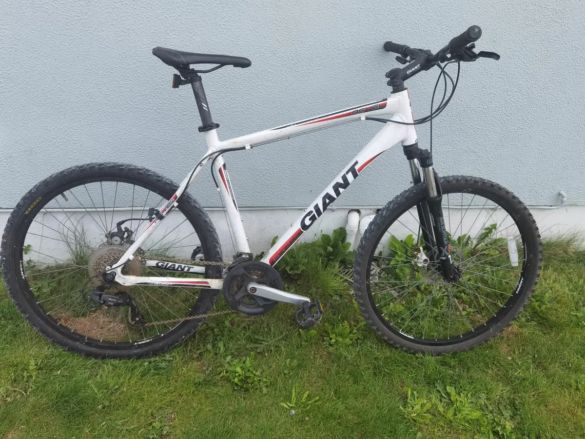 Giant mountain bike - Image 1