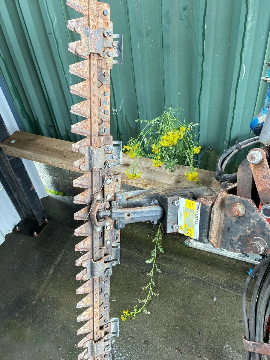 Small hedge cutter kilworth - Image 3