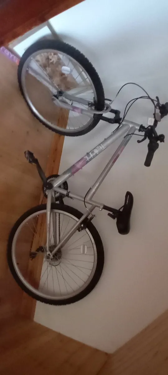 Bicycle - Image 3