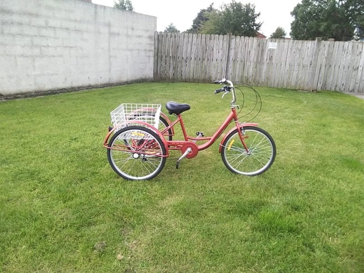 Adult Pedal Tricycle 7 Speed. - Image 1