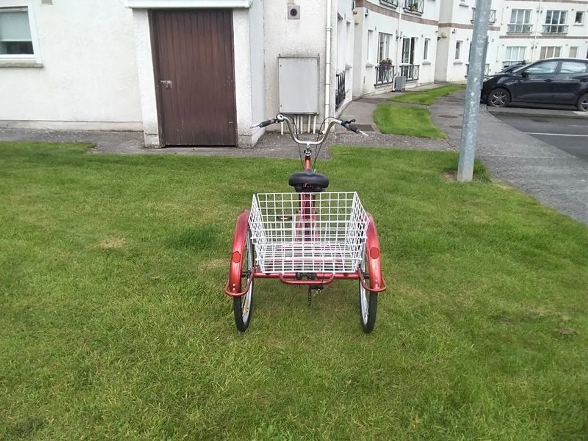 Adult Pedal Tricycle 7 Speed. - Image 2