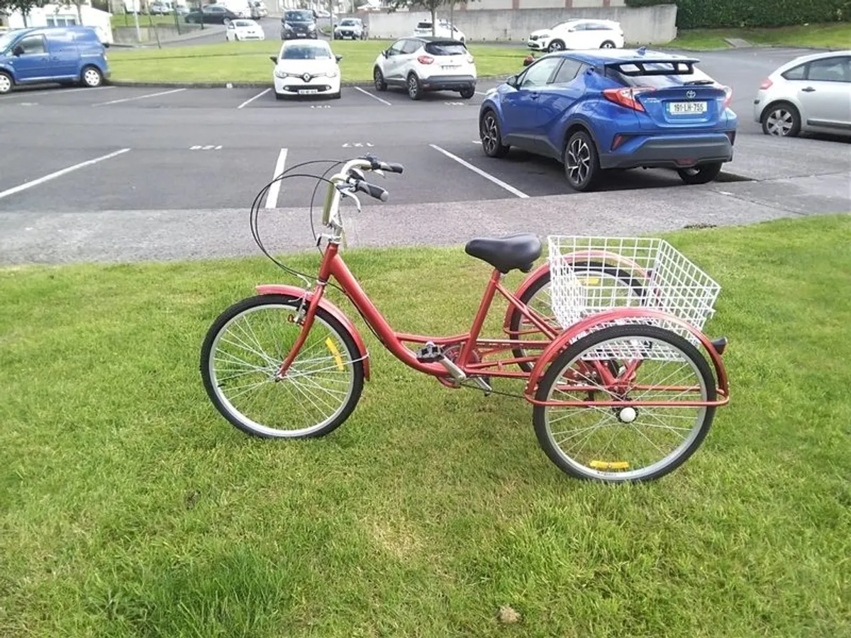 Adult Pedal Tricycle 7 Speed. - Image 4