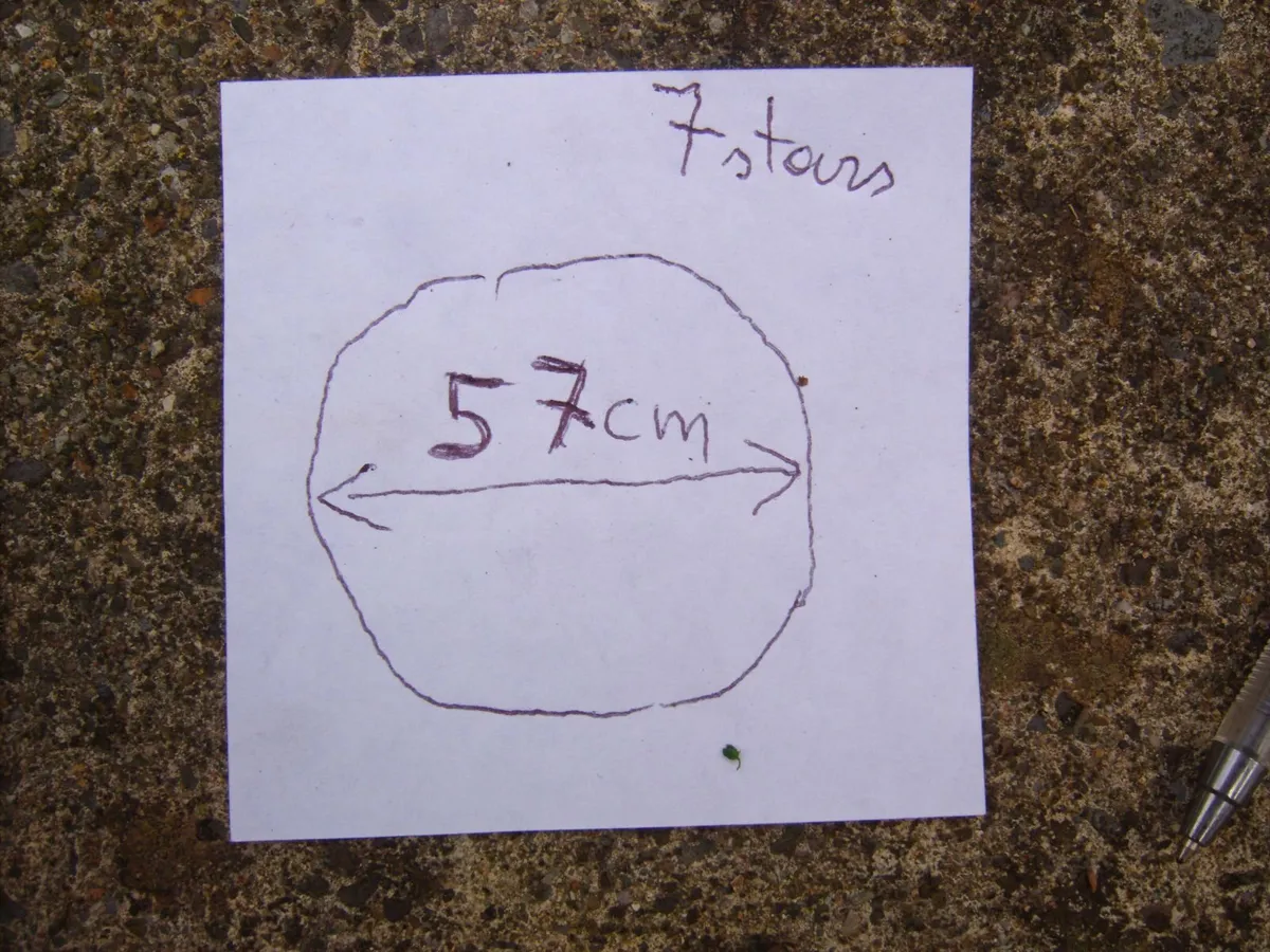 bicycle - Image 2