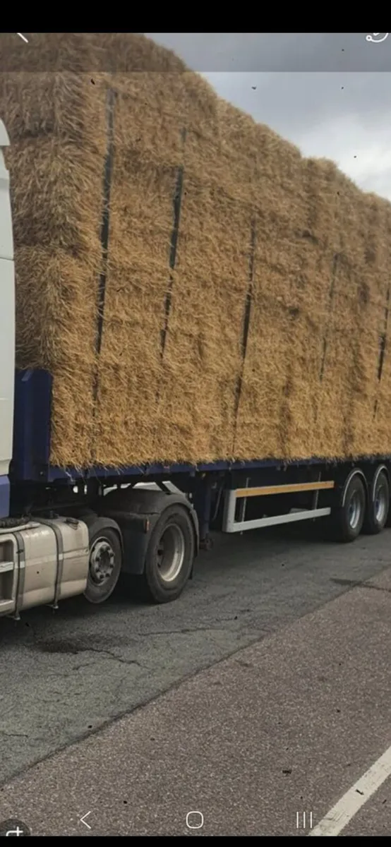 Straw - Image 2