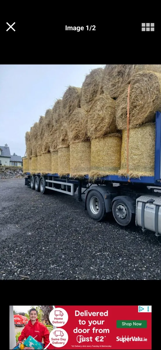 Straw - Image 3