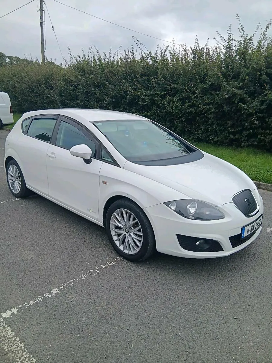 Tidy wee leon - Image 1