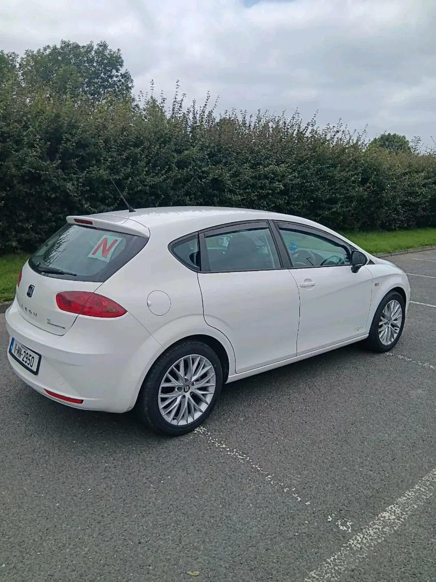 Tidy wee leon - Image 3