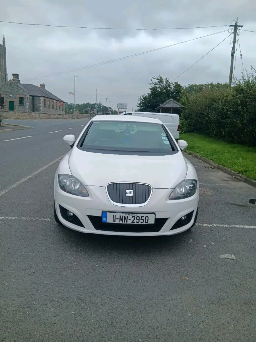 Tidy wee leon - Image 4