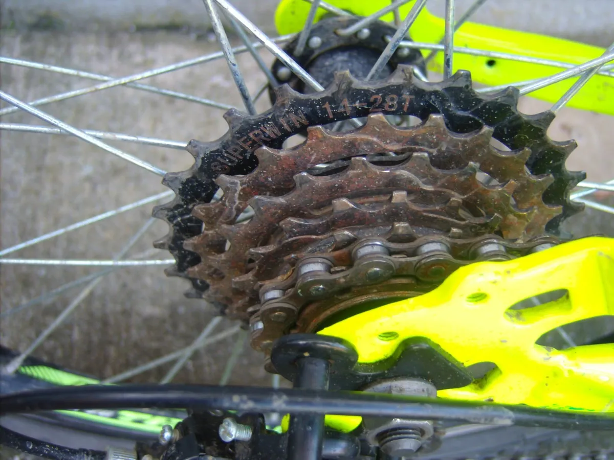 Bicycle - Image 2