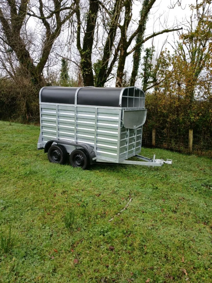 New galvanized cattle trailer - Image 1