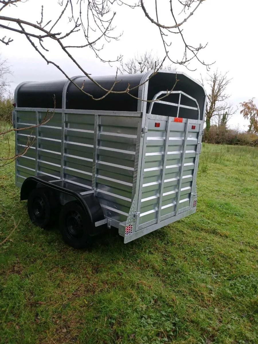 New galvanized cattle trailer - Image 4