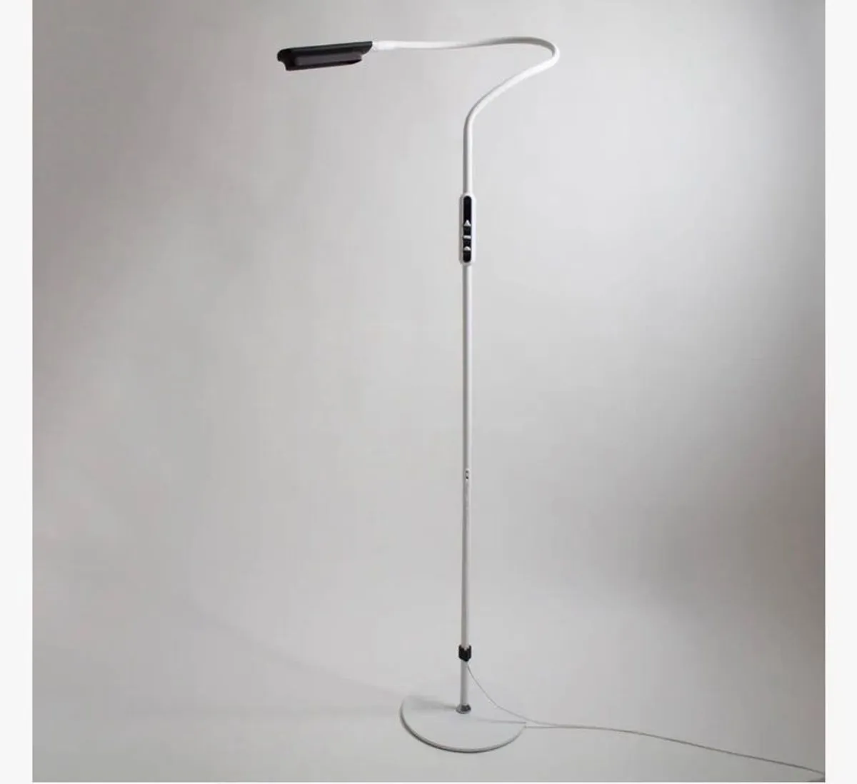 RNIB Lumina Plus floor lamp - Image 1