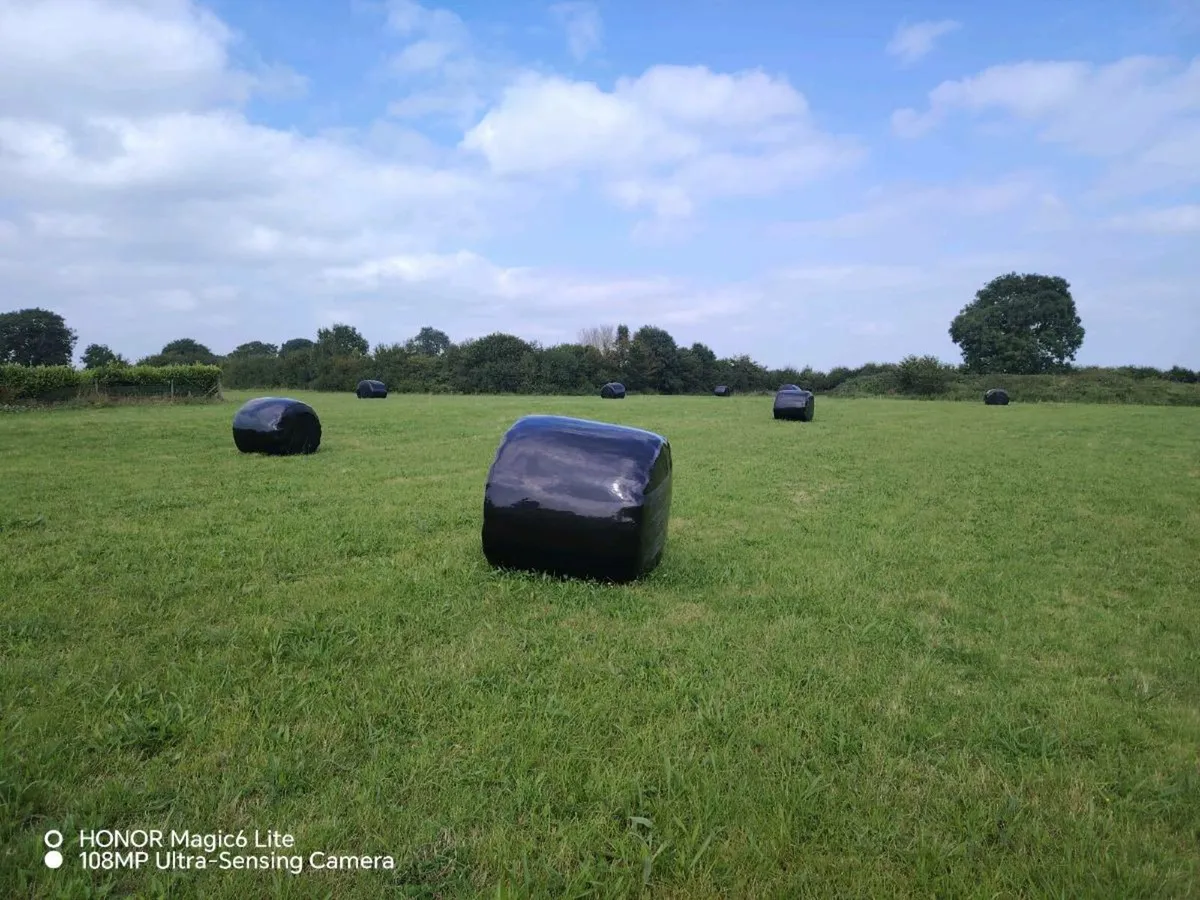 Haylage - Image 1