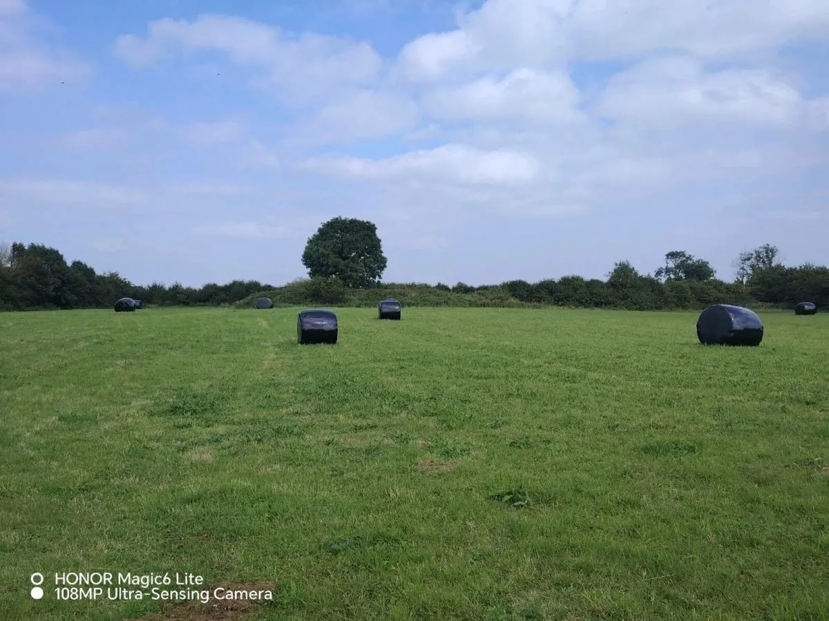 Haylage - Image 2