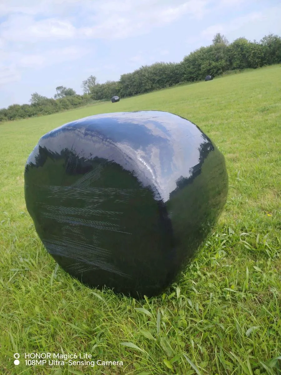 Haylage - Image 3