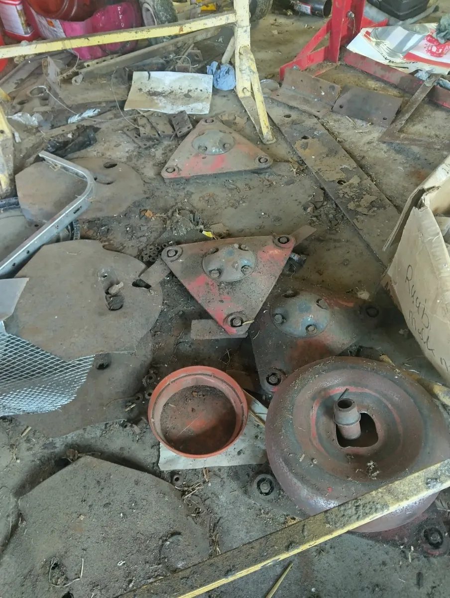 Selection of mowers - Image 4