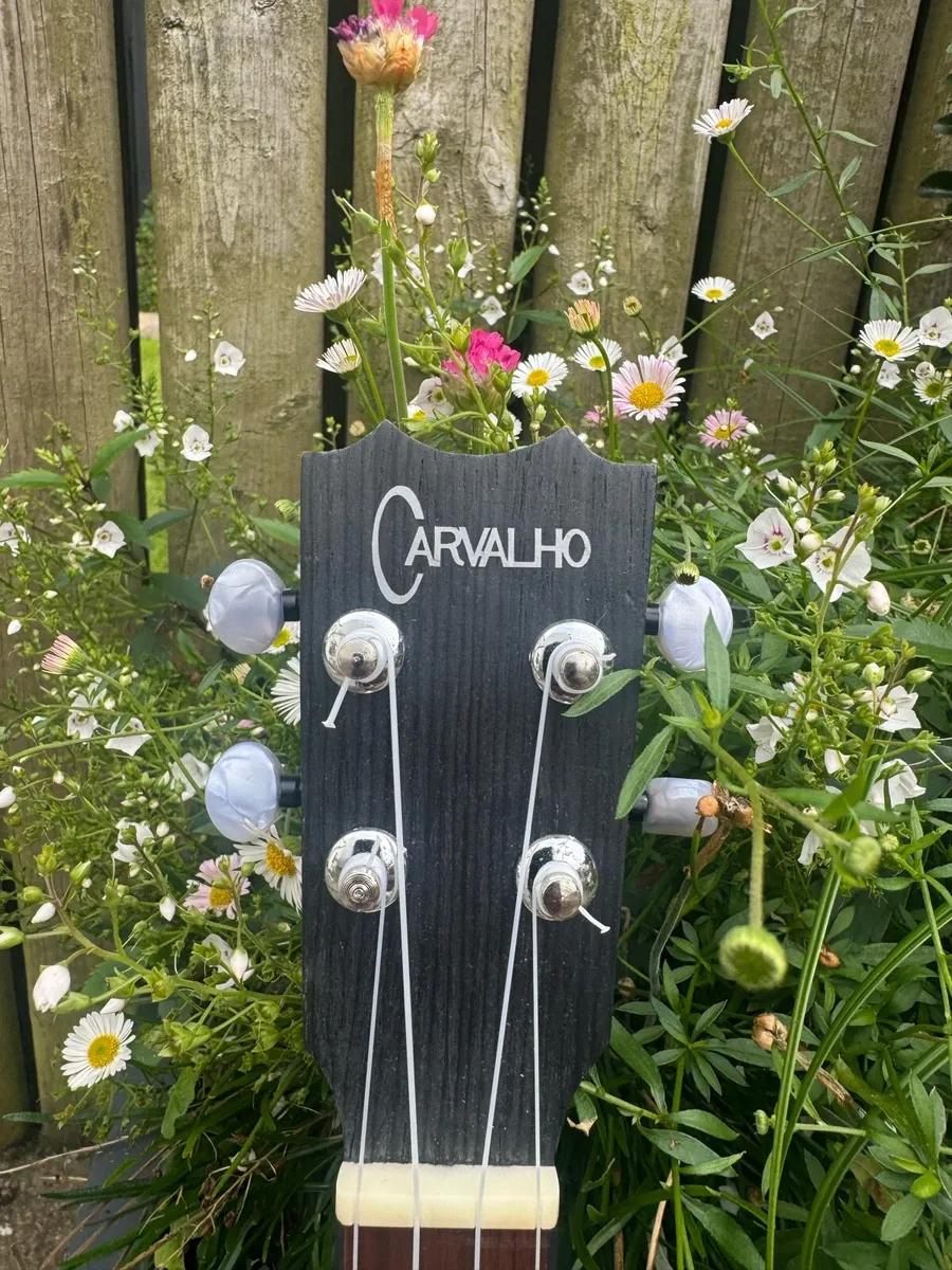 Carvalho Tenor Ukulele - Image 3