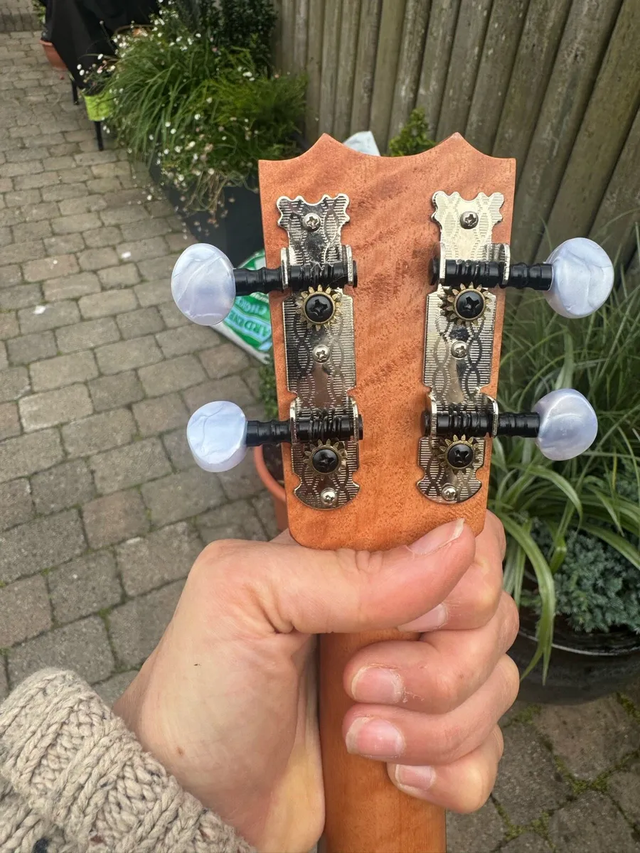 Carvalho Tenor Ukulele - Image 4