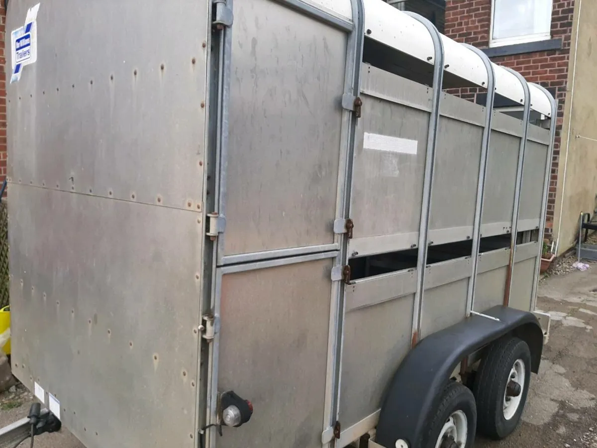 Ifor William's 10x5 livestock SALE PENDING - Image 1