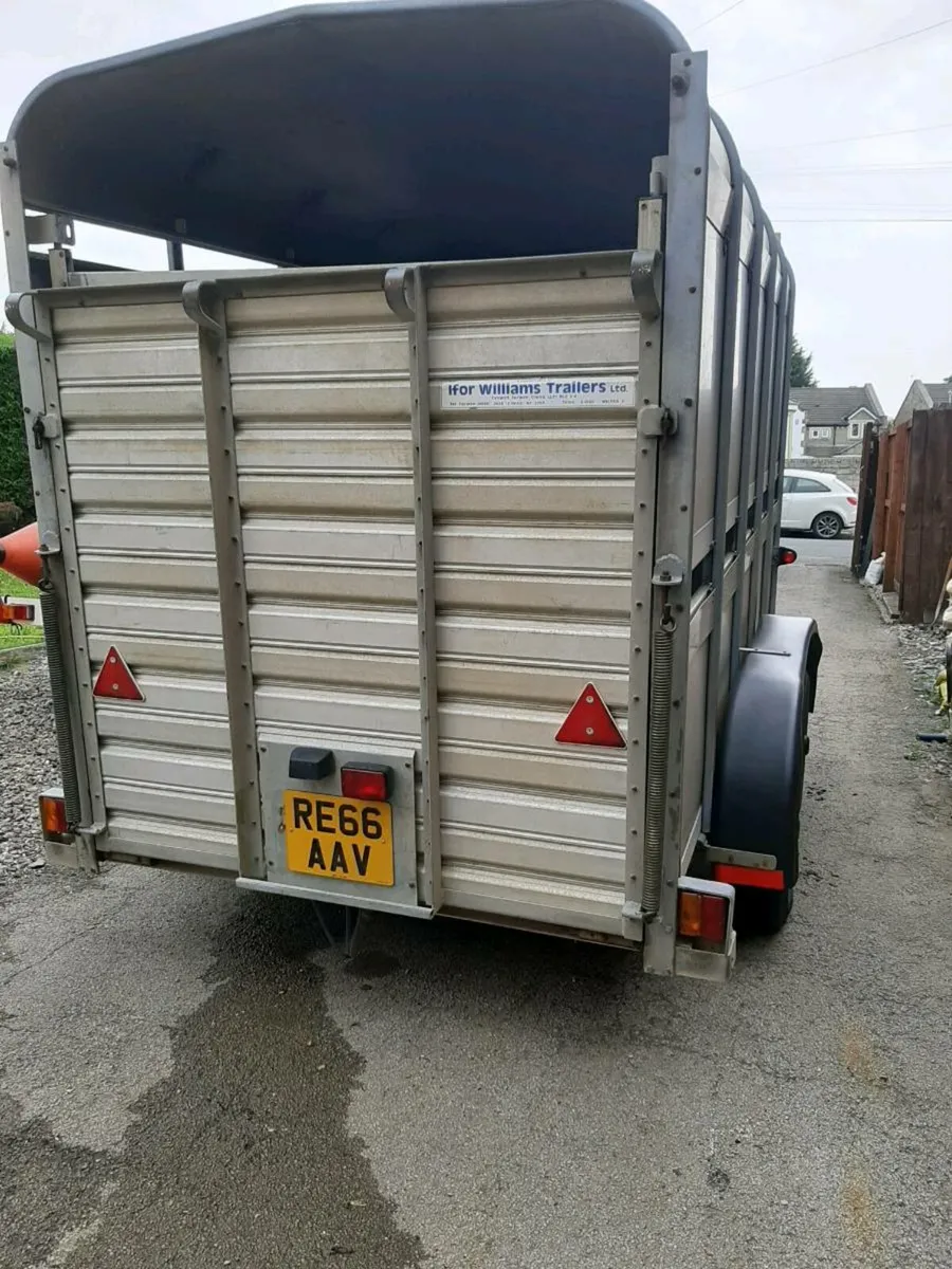 Ifor William's 10x5 livestock SALE PENDING - Image 3