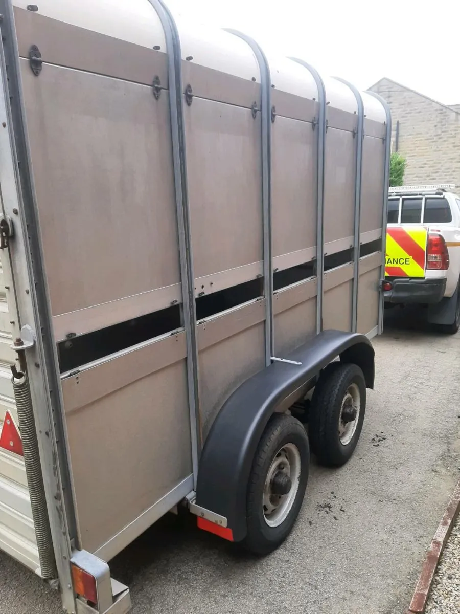 Ifor William's 10x5 livestock SALE PENDING - Image 4