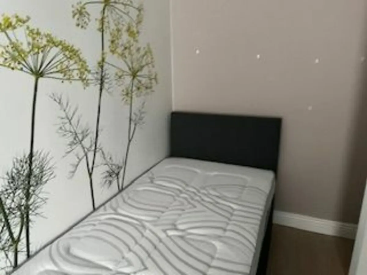 Single Bed & Free Mattress
